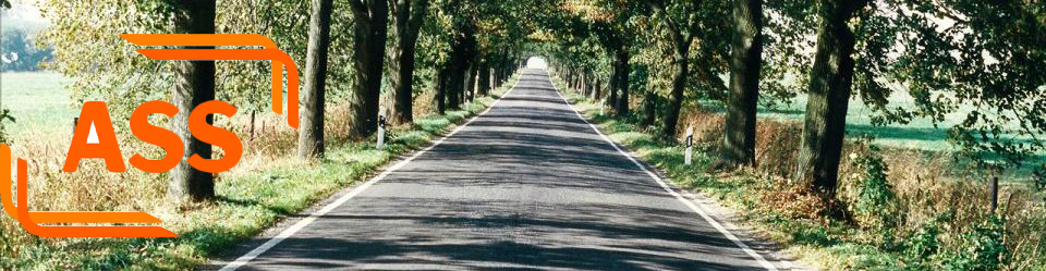 ASS Alkohol- und Suchtselbsthilfe e.V.